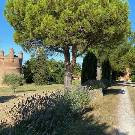 Manoir Du Bouyssou Cintegabelle