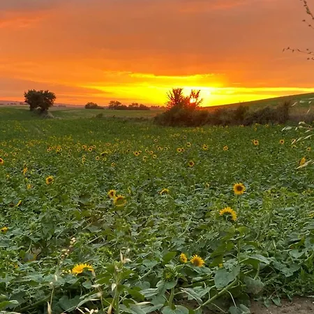 Manoir Du Bouyssou Cintegabelle