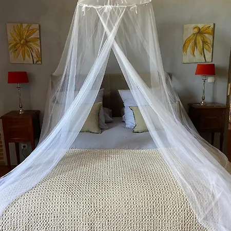 Manoir Du Bouyssou Cintegabelle