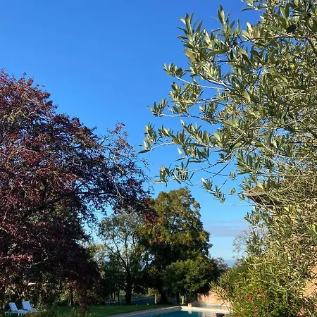 Manoir Du Bouyssou 4* Cintegabelle