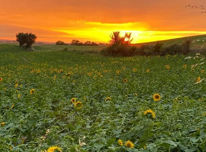 Manoir Du Bouyssou Cintegabelle