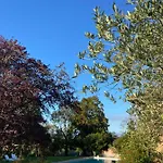 Manoir Du Bouyssou 4* Cintegabelle