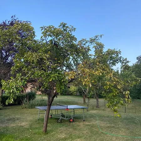 Manoir Du Bouyssou Bed & Breakfast *