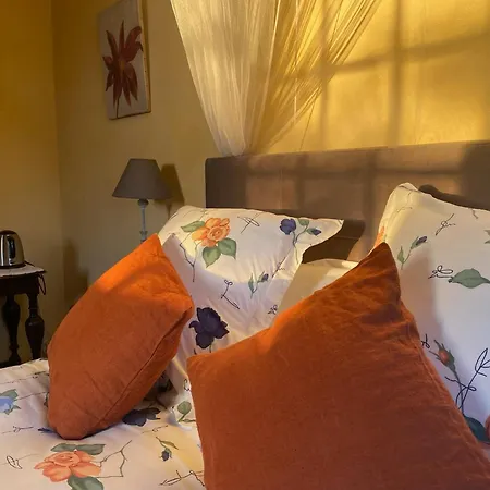 Bed & Breakfast Manoir Du Bouyssou *